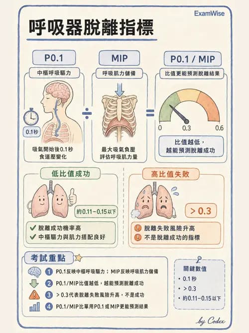 呼吸治療師 - 臨床設定、參數調整與脫離 - AI 圖文解析預覽