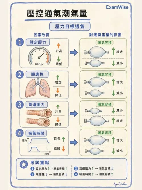 呼吸治療師 - 臨床設定、參數調整與脫離 - AI 圖文解析預覽