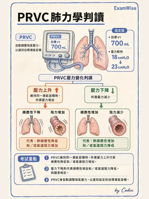 呼吸治療師 - 呼吸器設計與通氣模式 - AI 圖文解析預覽