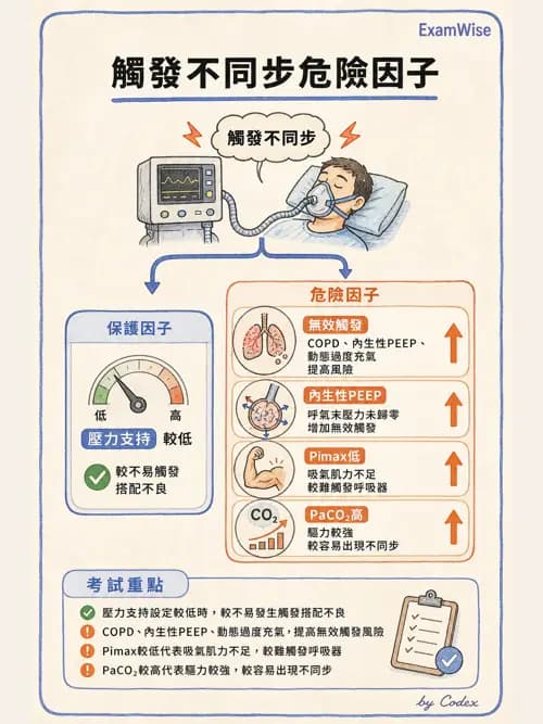 呼吸治療師 - 呼吸器監測與評估 - AI 圖文解析預覽