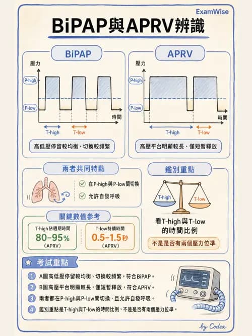 呼吸治療師 - 呼吸器圖形判讀與故障排除 - AI 圖文解析預覽