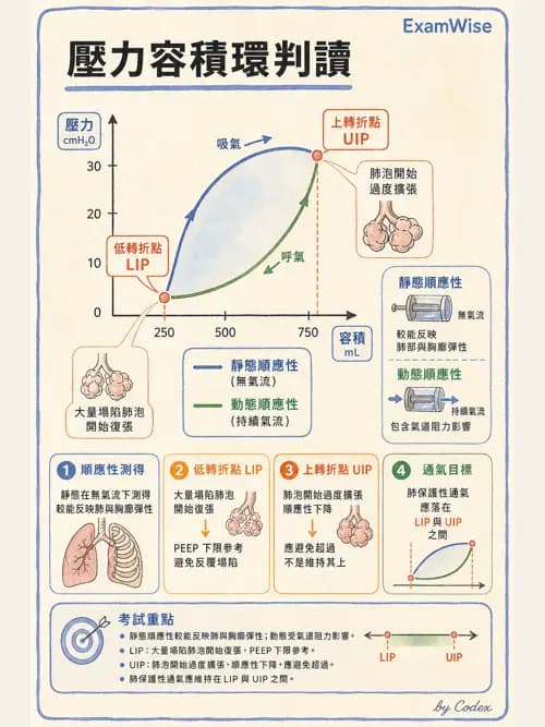 呼吸治療師 - 呼吸器圖形判讀與故障排除 - AI 圖文解析預覽