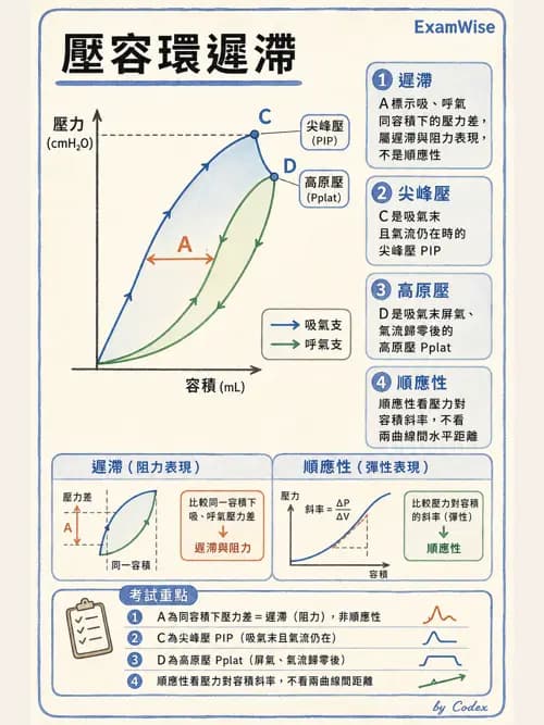 呼吸治療師 - 呼吸器圖形判讀與故障排除 - AI 圖文解析預覽