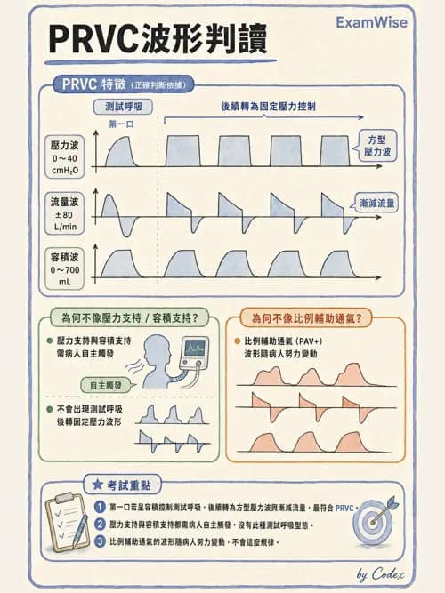 呼吸治療師 - 呼吸器圖形判讀與故障排除 - AI 圖文解析預覽