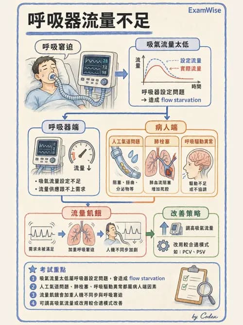 呼吸治療師 - 呼吸器圖形判讀與故障排除 - AI 圖文解析預覽