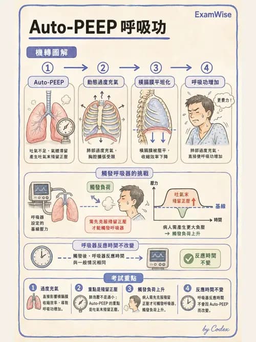 呼吸治療師 - 正壓通氣生理影響與合併症 - AI 圖文解析預覽