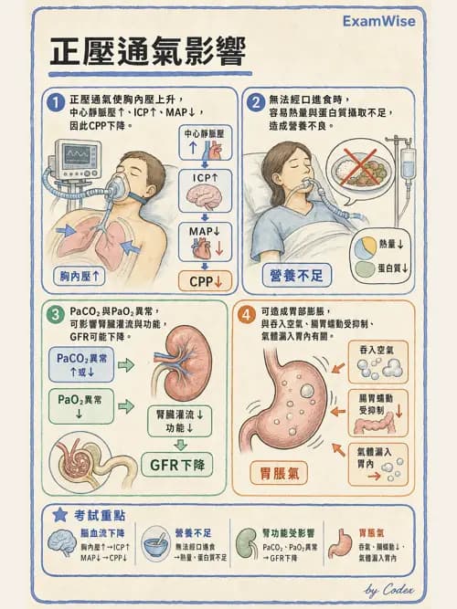 呼吸治療師 - 正壓通氣生理影響與合併症 - AI 圖文解析預覽