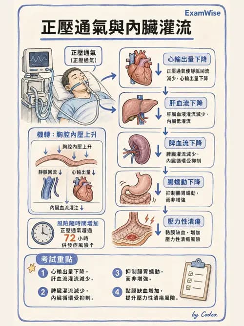 呼吸治療師 - 正壓通氣生理影響與合併症 - AI 圖文解析預覽
