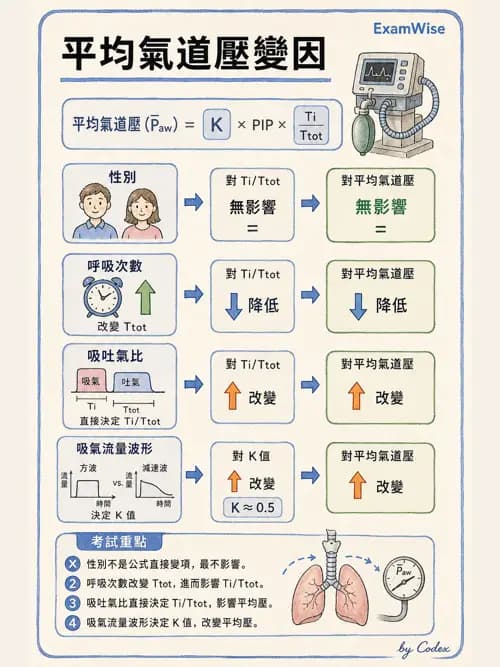 呼吸治療師 - 臨床設定、參數調整與脫離 - AI 圖文解析預覽