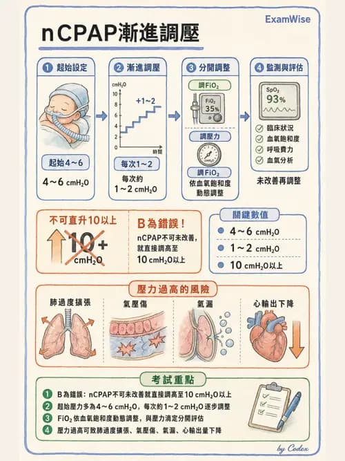 呼吸治療師 - 小兒呼吸器支持 - AI 圖文解析預覽