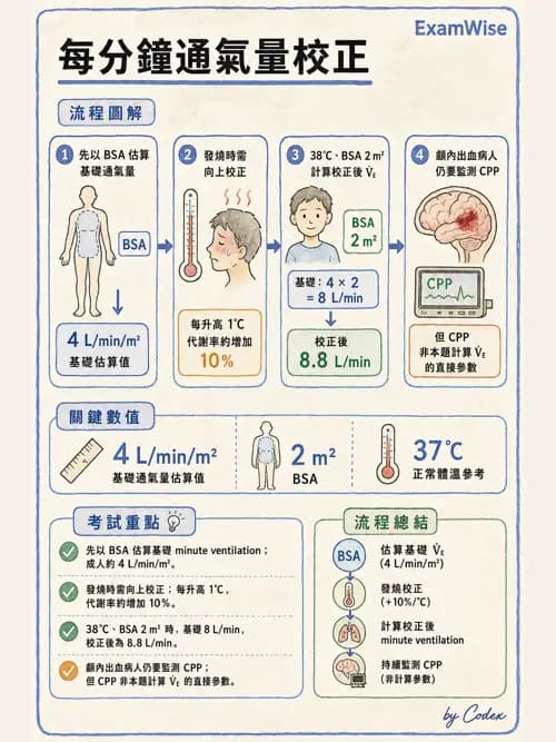 呼吸治療師 - 臨床設定、參數調整與脫離 - AI 圖文解析預覽
