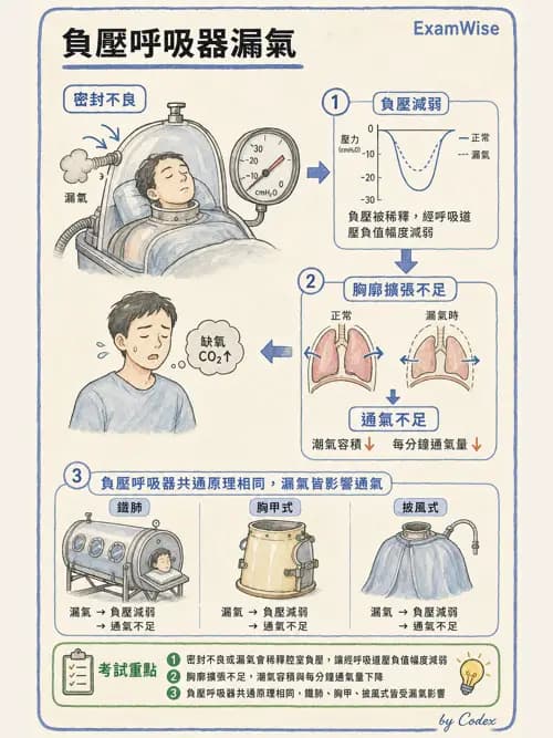 呼吸治療師 - 非侵襲性與居家通氣 - AI 圖文解析預覽