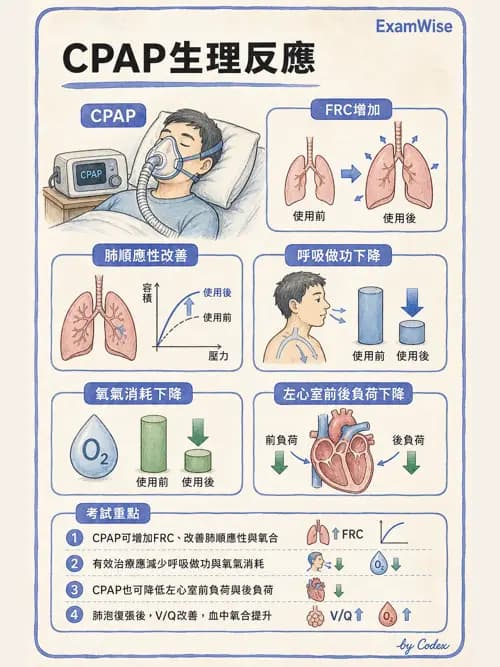 呼吸治療師 - 非侵襲性與居家通氣 - AI 圖文解析預覽
