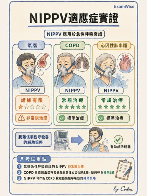 呼吸治療師 - 非侵襲性與居家通氣 - AI 圖文解析預覽