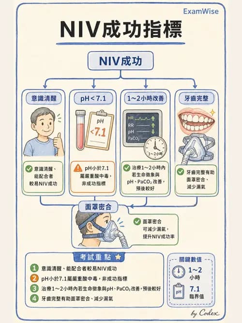 呼吸治療師 - 非侵襲性與居家通氣 - AI 圖文解析預覽