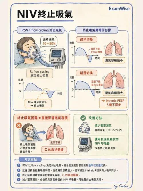 呼吸治療師 - 非侵襲性與居家通氣 - AI 圖文解析預覽