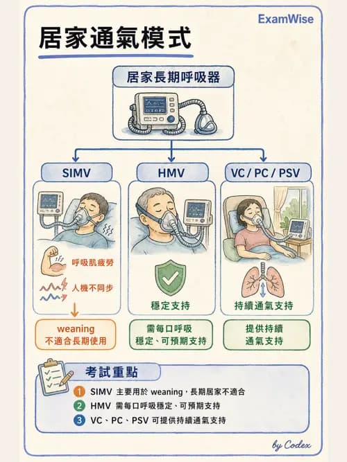 呼吸治療師 - 非侵襲性與居家通氣 - AI 圖文解析預覽