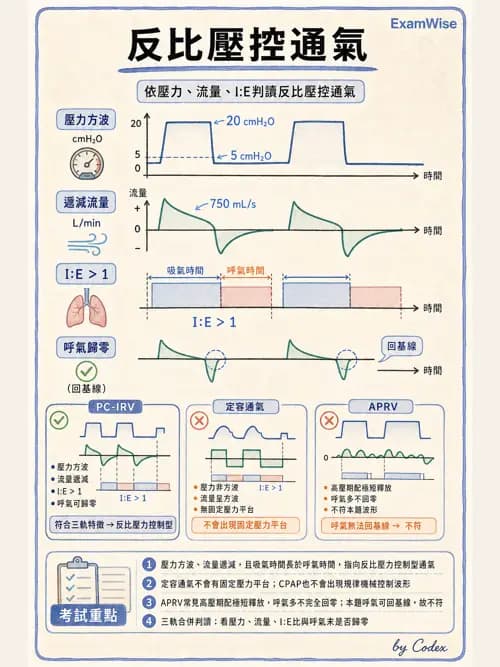 呼吸治療師 - 呼吸器圖形判讀與故障排除 - AI 圖文解析預覽