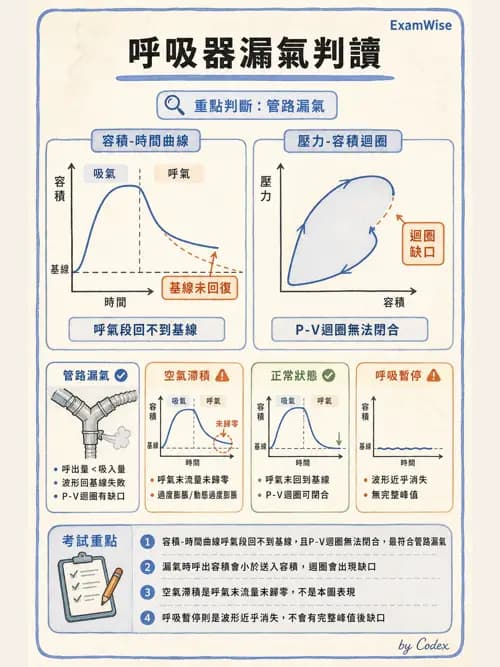 呼吸治療師 - 呼吸器圖形判讀與故障排除 - AI 圖文解析預覽