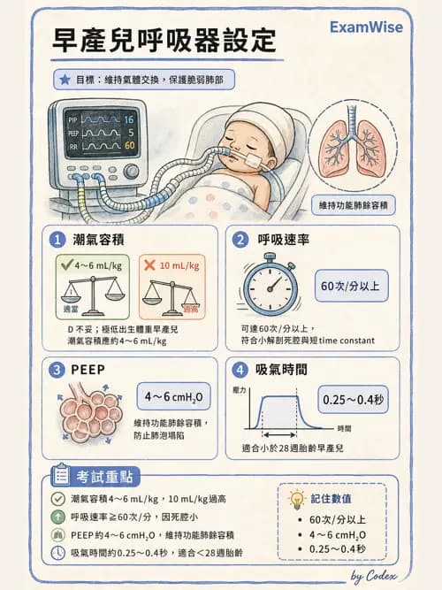 呼吸治療師 - 小兒呼吸器支持 - AI 圖文解析預覽