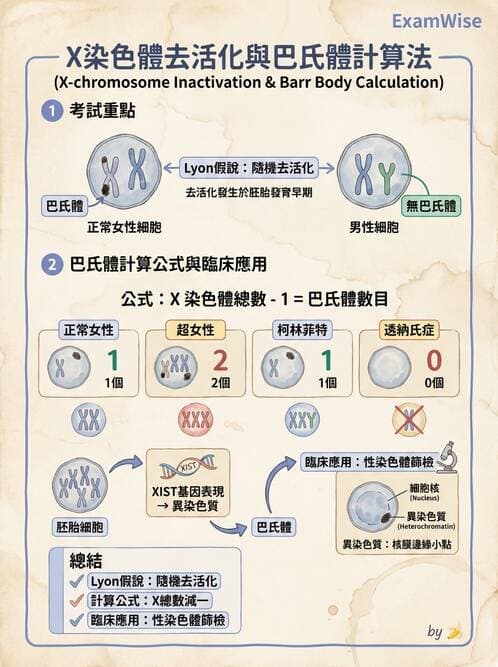 護理師 - 腫瘤及遺傳疾病 - AI 圖文解析預覽