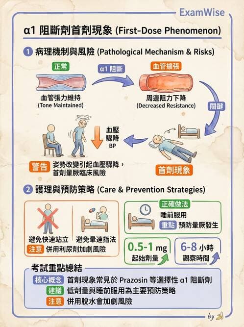 護理師 - 抗高血壓與血管藥物 - AI 圖文解析預覽