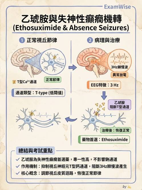 護理師 - 鎮痛、麻醉與神經科藥物 - AI 圖文解析預覽