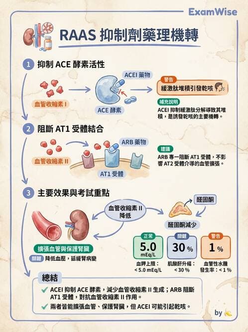 護理師 - 抗高血壓與血管藥物 - AI 圖文解析預覽