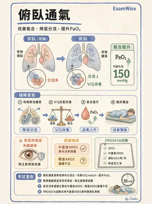 呼吸治療師 - ARDS與呼吸衰竭 - AI 圖文解析預覽