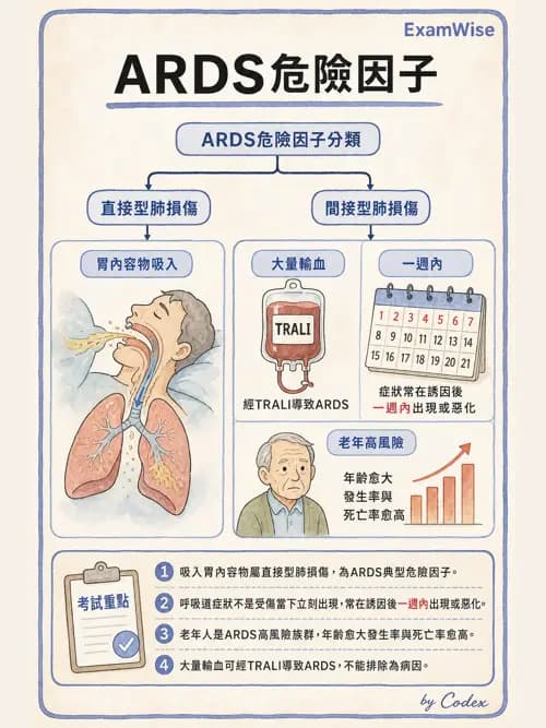 呼吸治療師 - ARDS與呼吸衰竭 - AI 圖文解析預覽
