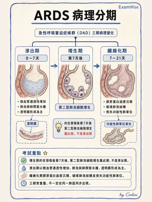 呼吸治療師 - ARDS與呼吸衰竭 - AI 圖文解析預覽