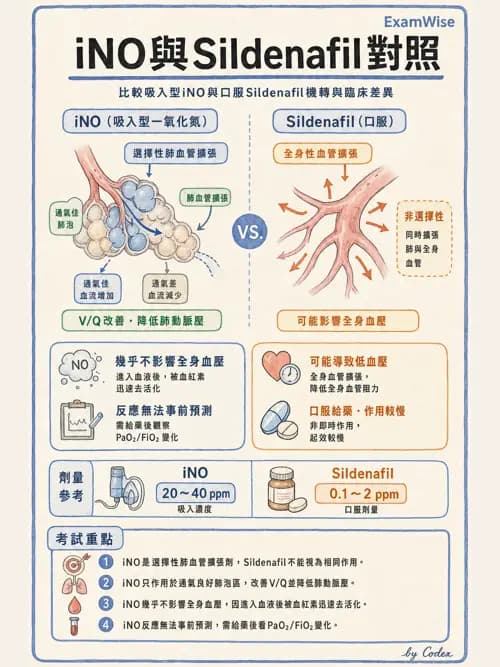 呼吸治療師 - 重症特殊處置 - AI 圖文解析預覽