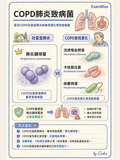 呼吸治療師 - 心臟疾病與COPD重症 - AI 圖文解析預覽