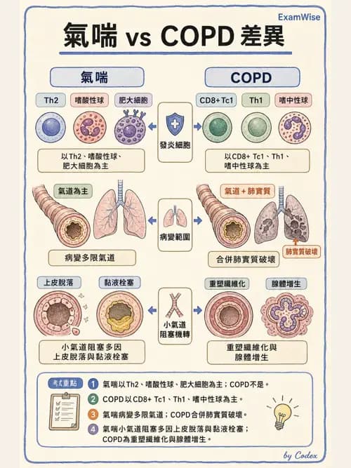 呼吸治療師 - 心臟疾病與COPD重症 - AI 圖文解析預覽