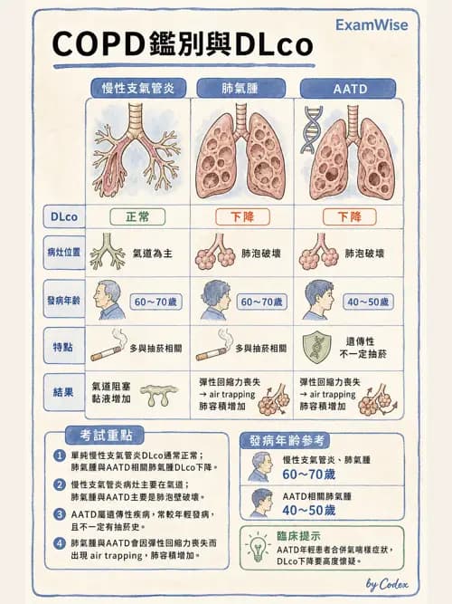 呼吸治療師 - 心臟疾病與COPD重症 - AI 圖文解析預覽