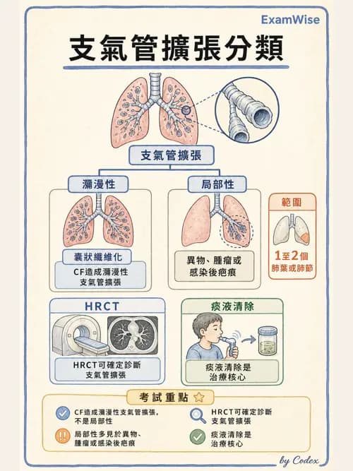 呼吸治療師 - 術後與其他呼吸重症 - AI 圖文解析預覽