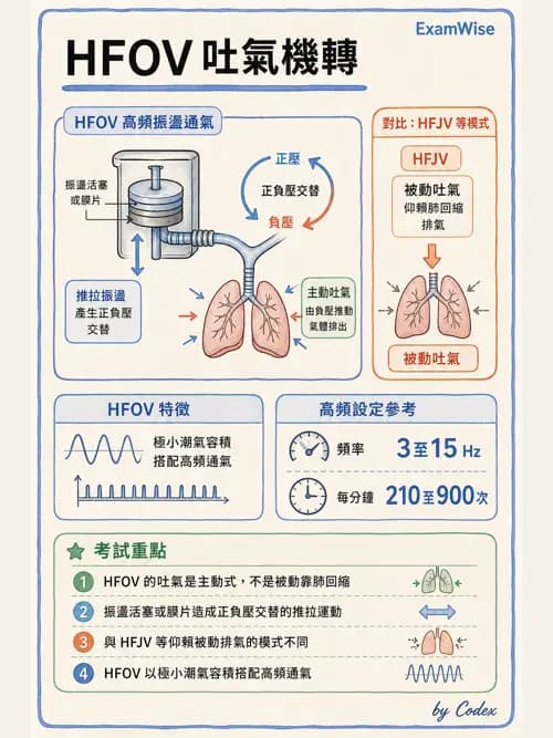 呼吸治療師 - 重症特殊處置 - AI 圖文解析預覽