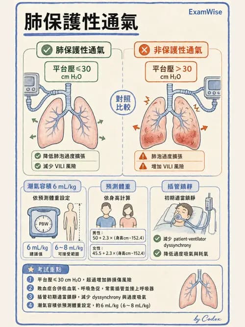 呼吸治療師 - 休克、敗血症與多器官衰竭 - AI 圖文解析預覽