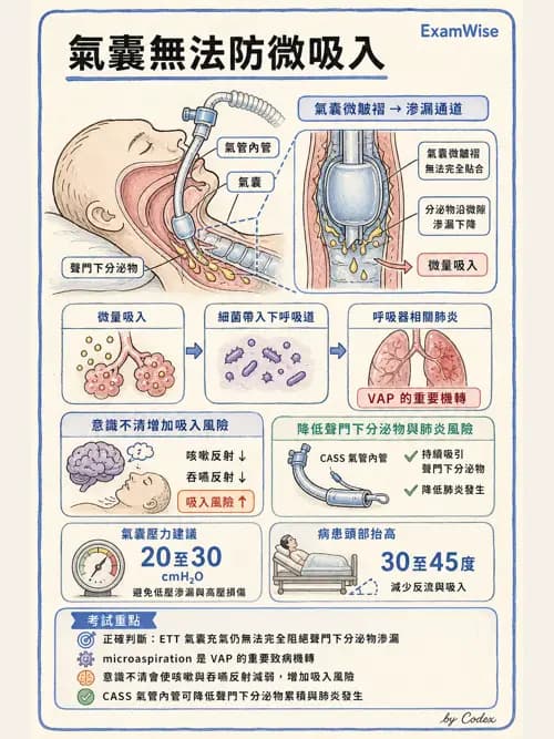 呼吸治療師 - 呼吸器併發症與感染 - AI 圖文解析預覽