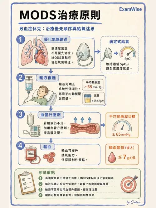 呼吸治療師 - 休克、敗血症與多器官衰竭 - AI 圖文解析預覽