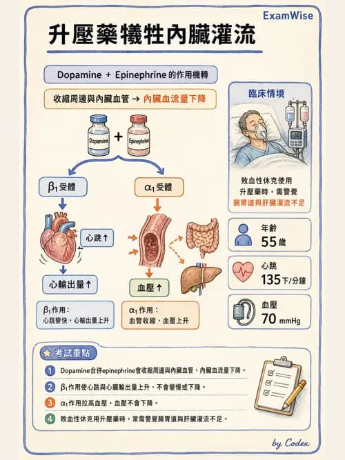 呼吸治療師 - 休克、敗血症與多器官衰竭 - AI 圖文解析預覽