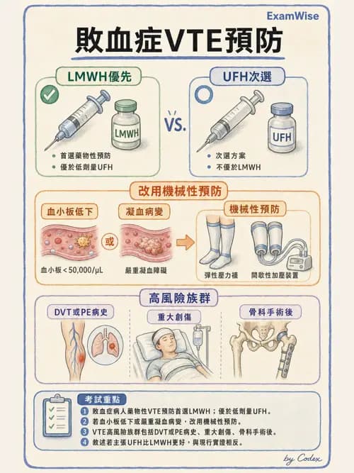 呼吸治療師 - 休克、敗血症與多器官衰竭 - AI 圖文解析預覽