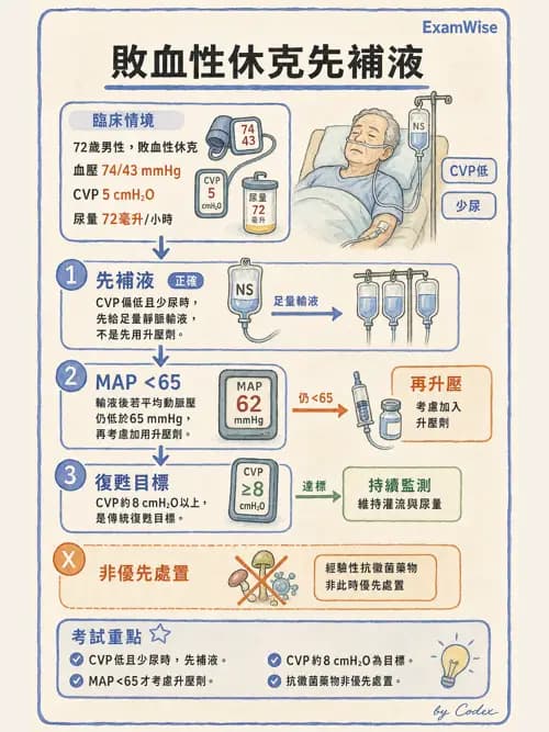 呼吸治療師 - 休克、敗血症與多器官衰竭 - AI 圖文解析預覽
