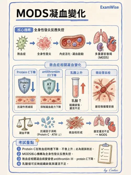 呼吸治療師 - 休克、敗血症與多器官衰竭 - AI 圖文解析預覽