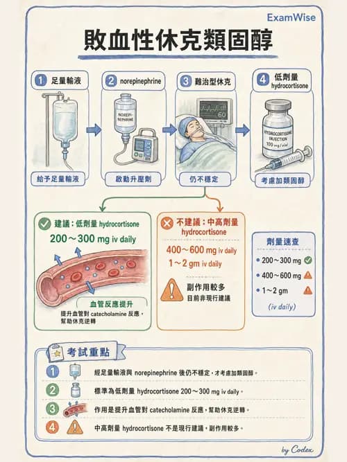 呼吸治療師 - 休克、敗血症與多器官衰竭 - AI 圖文解析預覽