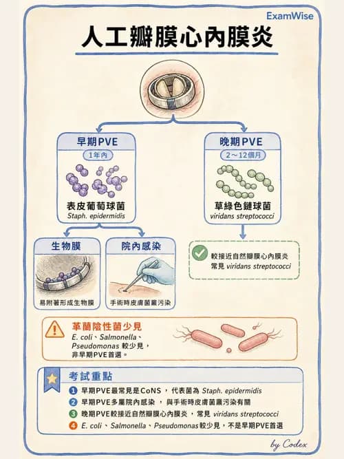 呼吸治療師 - 心臟疾病與COPD重症 - AI 圖文解析預覽