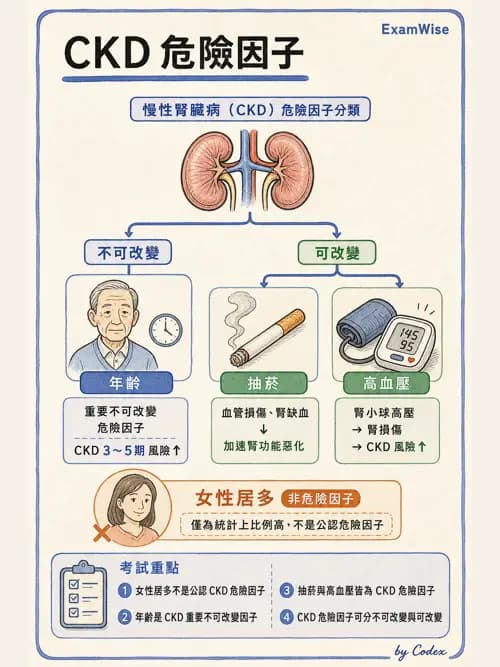 呼吸治療師 - 休克、敗血症與多器官衰竭 - AI 圖文解析預覽