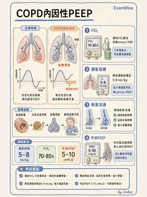 呼吸治療師 - 心臟疾病與COPD重症 - AI 圖文解析預覽