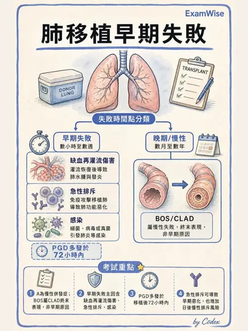 呼吸治療師 - 術後與其他呼吸重症 - AI 圖文解析預覽