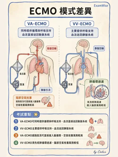 呼吸治療師 - 重症特殊處置 - AI 圖文解析預覽